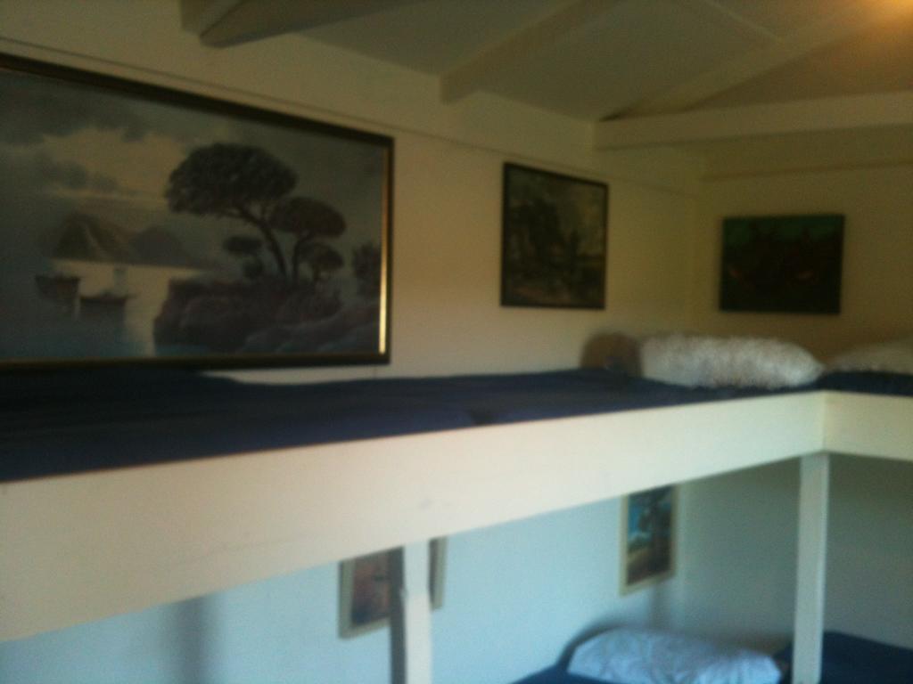 Benmore Taringatura Backpackers 호스텔 외부 사진